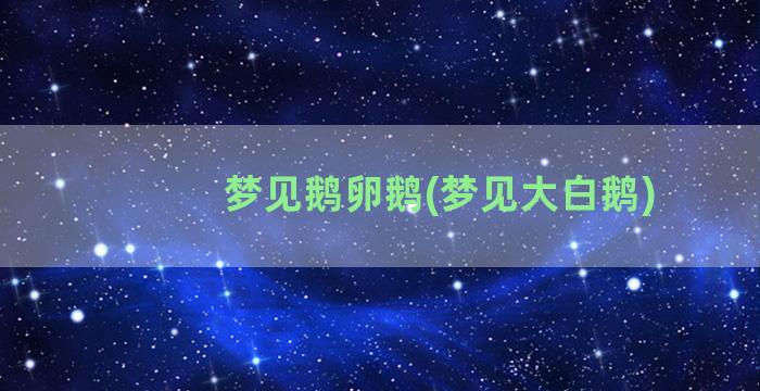 梦见鹅卵鹅(梦见大白鹅)