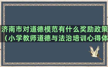 济南市对道德模范有什么奖励政策（小学教师道德与法治培训心得体会）(济南市道德模范评选表彰)