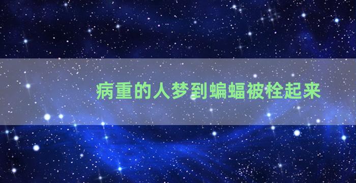 病重的人梦到蝙蝠被栓起来