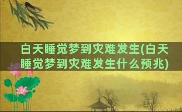 白天睡觉梦到灾难发生(白天睡觉梦到灾难发生什么预兆)