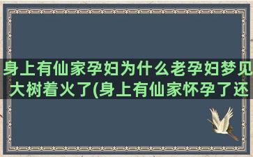 身上有仙家孕妇为什么老孕妇梦见大树着火了(身上有仙家怀孕了还是磨人)