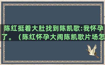 陈红挺着大肚找到陈凯歌:我怀孕了。（陈红怀孕大闹陈凯歌片场怎样结局）