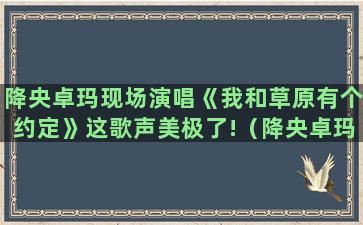 降央卓玛现场演唱《我和草原有个约定》这歌声美极了!（降央卓玛100首金曲卓玛的歌降央卓玛我和草原有个约会）(惊艳全场)