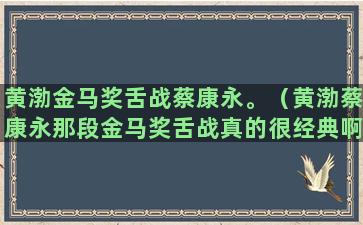 黄渤金马奖舌战蔡康永。（黄渤蔡康永那段金马奖舌战真的很经典啊）(黄渤金马奖视频)